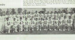 1965 team canva
