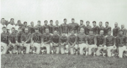 1967 team canva