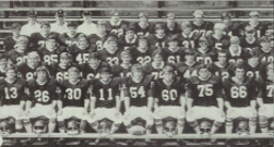 1975 team canva
